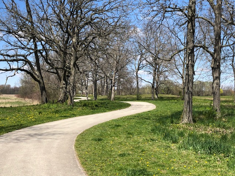 A Walk in The Park For Mental Health