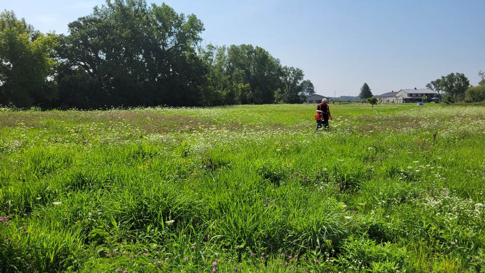 LandCo2 Wetland Delineation