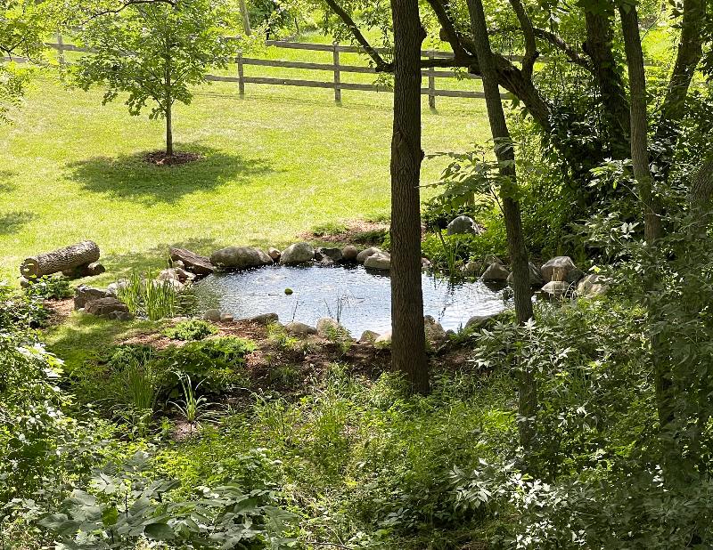 Pond Design LandCo2 Helianthus designs environmentally sustainable landscapes